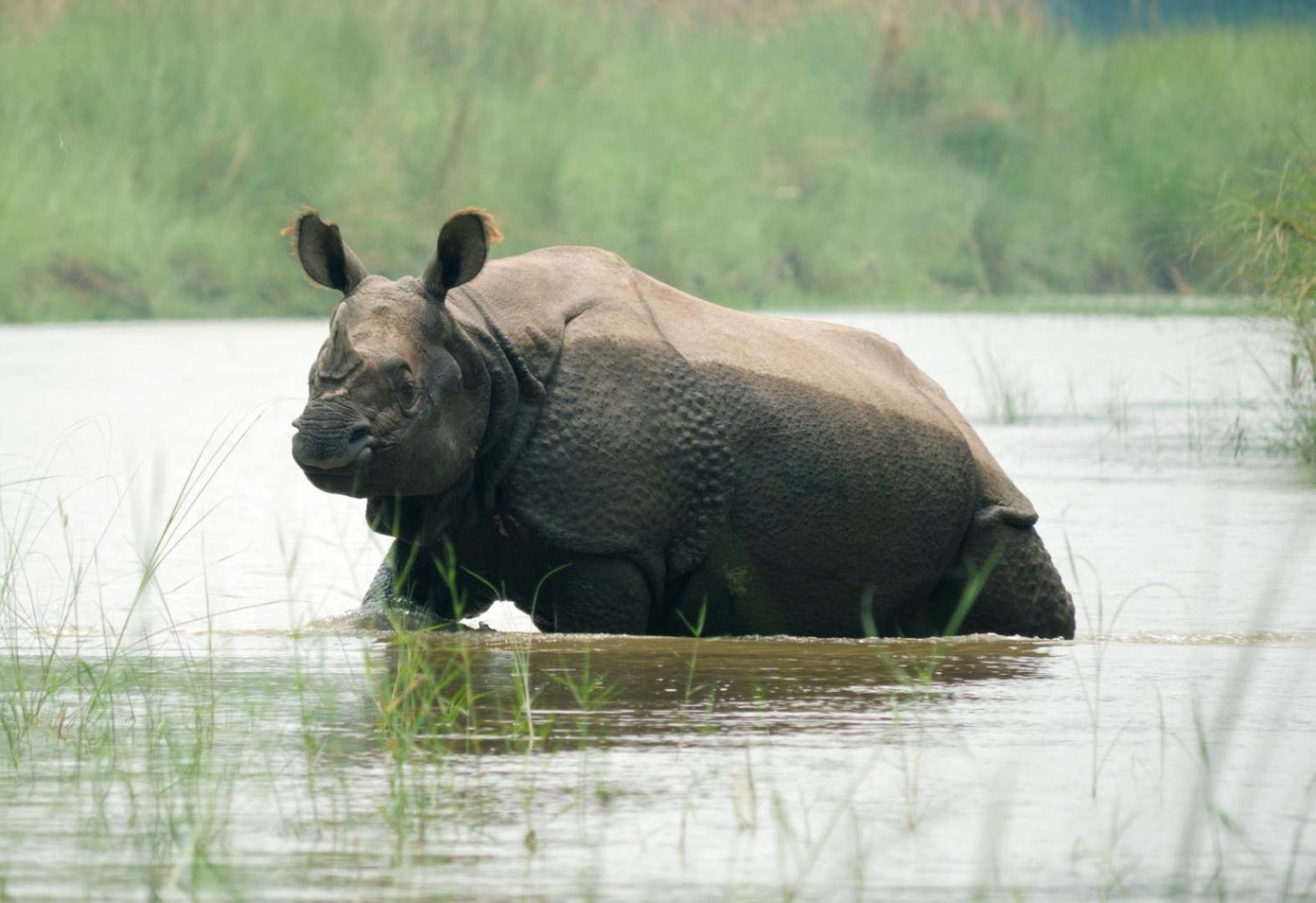 Family House - Bardia National Park Otel Bardiya Dış mekan fotoğraf